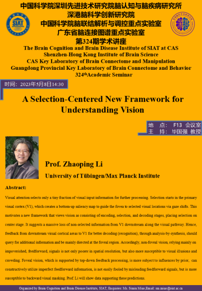 A Selection-Centered New Framework for Understanding Vision